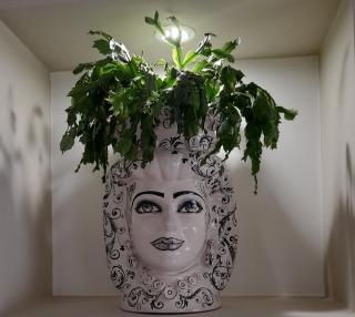 La Casa di Luzzo - Agrigento - 5