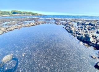 Beachfront 1 Bedroom Condo with Private Beach, Pool, Hot Tub - Pahala - 0