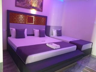 HOTEL PANCHAVARNAA - 9
