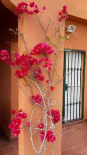 Spacious Ground Floor Luxury Apartment with underground parking - Castillo de Sabinillas - 3