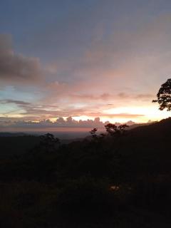 4 Acre Woods Farm Stay - Munnar - 7