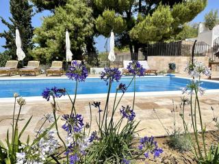 Spacious new villa with pool above the pristine beach - FIRST SEASON PRICING!!! - Prvić Šepurine - 8