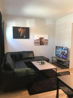 Notodden Sentrum Apartment NO 10 - Notodden - 0