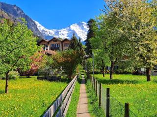 Sawasdee Swiss Chalet Wilderswil - 2