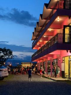 Pink Castle House - 9