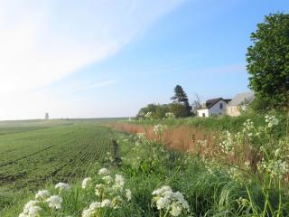 in de Boomgaard - 9