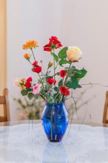 Apartmani Prkačin - Trogir - 6