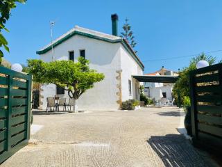 The Green Home - Afráta - 0