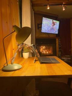 Snow Bunny Cottage, Pets Welcomed! - Green Valley Lake - 4