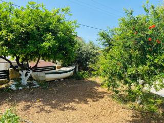 The Green Home - Afráta - 2