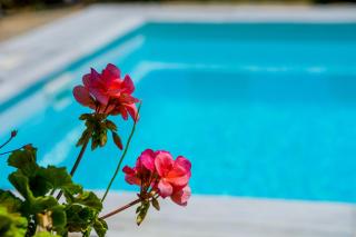 Villa Calypso Elounda - 2