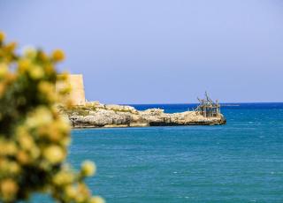 Residence M3 - Peschici - 4