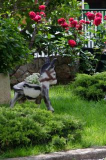 Apartmani Jolic - Brodarica - 2