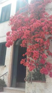 Happy House Corricella - Procida - 4