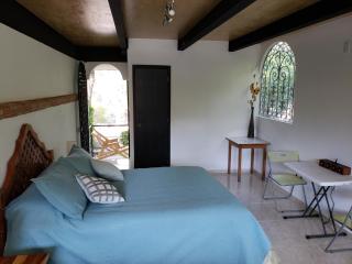 MASTER SUITE JARDIN - 9