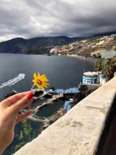 Atlantic Gardens Beach - atlanticgardensbeach com - Funchal - 5