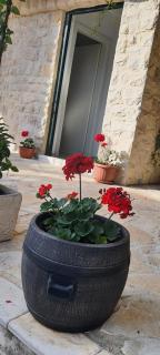 Holiday home Jakov - Bibinje - 6