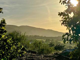 Barcelona - Holyhead - 2