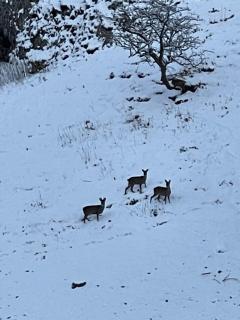 Simon’s Seat View - 8