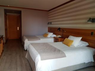 Hotel Puelche - Puerto Varas - 5
