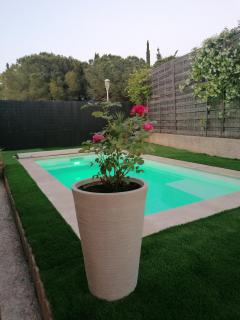 Mimilou Mont St Loup piscine privée - Agde - 7