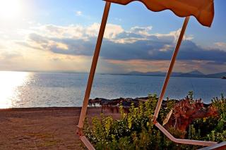 Το Κοράλι - Amarynthos - 6