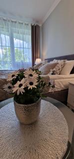 Apartamenty Hexagon nr 23 - Grzybowo - 7