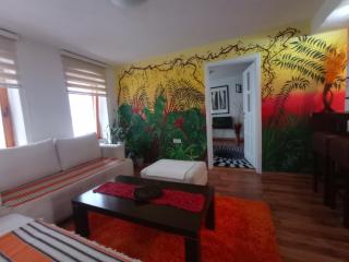 Apartment Centar - Sarajevo - 8