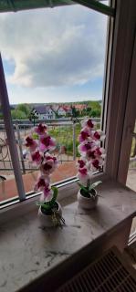 Apartamenty Hexagon nr 27 - Grzybowo - 4