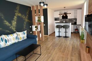 ApartHotel Dominic Residence - Alba Iulia - 3