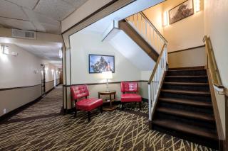 Red Roof Inn & Suites Jacksonville, NC - Jacksonville - 4