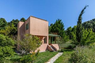 Myrto's House at Agnontas - 9