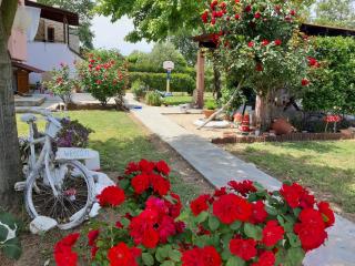 Evgenia Maisonette - Ierissos - 7