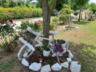 Evgenia Maisonette - Ierissos - 6