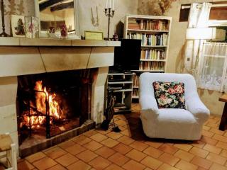 Maison Authentique avec Parc, Cheminée et Équipements Modernes au Cœur de la Vallée de la Loire - FR-1-381-468 - Souvigny-de-Touraine - 9