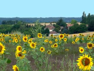 Charmante demeure 17e avec piscine privative, grand jardin et patrimoine riche en Touraine Sud. - FR-1-381-368 - Abilly-Sur-Claise - 8