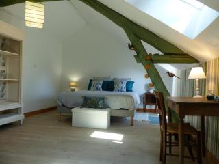 Ferme rénovée avec charme, 4 chambres, grand jardin privé, cheminée, proche nature à Gouise ! - FR-1-489-374 - Gouise - 2