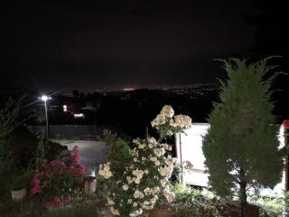 Nayagaun Village Resort - 4