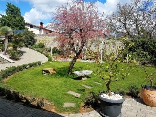 Wine cellar room - Vipava - 8