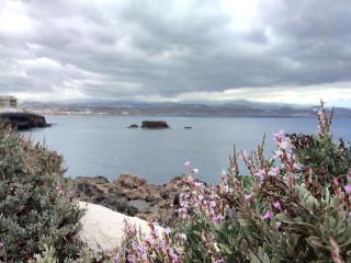 Las Canteras Suite - Las Palmas de Gran Canaria - 2