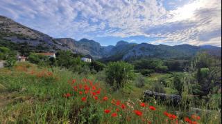 Apartments Paklenica - Starigrad-Paklenica - 8