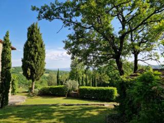 Villa Calcina, Beautiful Tuscan Farmhouse - 1