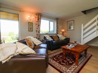 Ash Tree Cottage - Holsworthy - 9