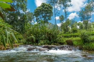 Biosphere - Coonoor - 5