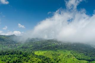 Biosphere - Coonoor - 4