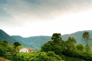 Biosphere - Coonoor - 3