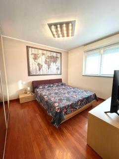 Elegant Apartment in Milan with Panoramic Terrace - Milan - 2