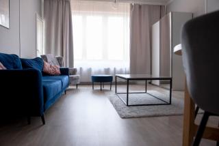 Chopin's Apartment - Bielsko-Biała - 2