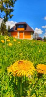 Apartmani Nišićka Oaza - Sarajevo - 7