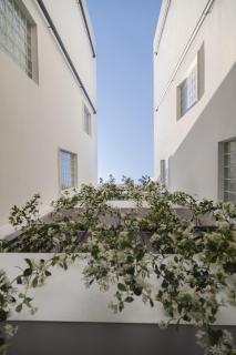 Alinea Urban Saripolou Square - Limassol - 6